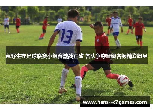 荒野生存足球联赛小组赛激战正酣 各队争夺晋级名额精彩纷呈